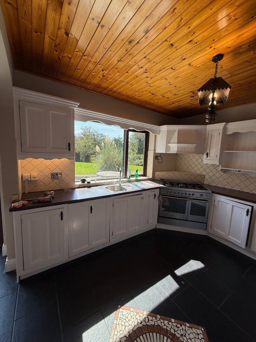 Kitchen interior painting Limerick